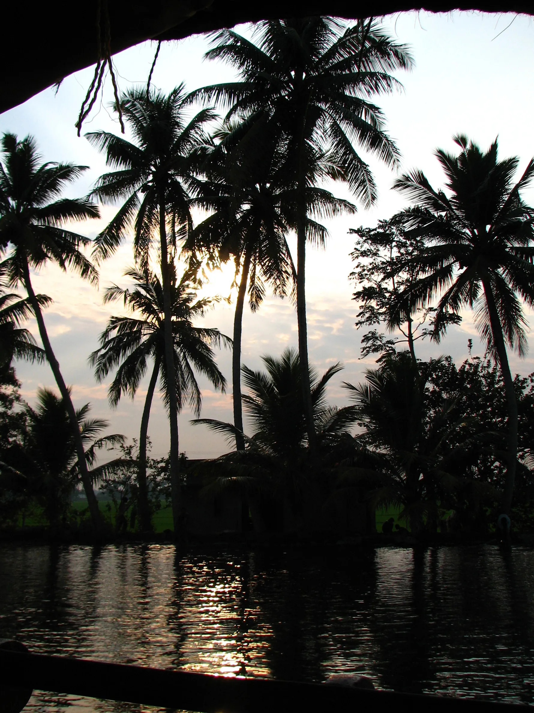 Deluxe Alleppey Houseboats on the Alleppey Kerala backwaters