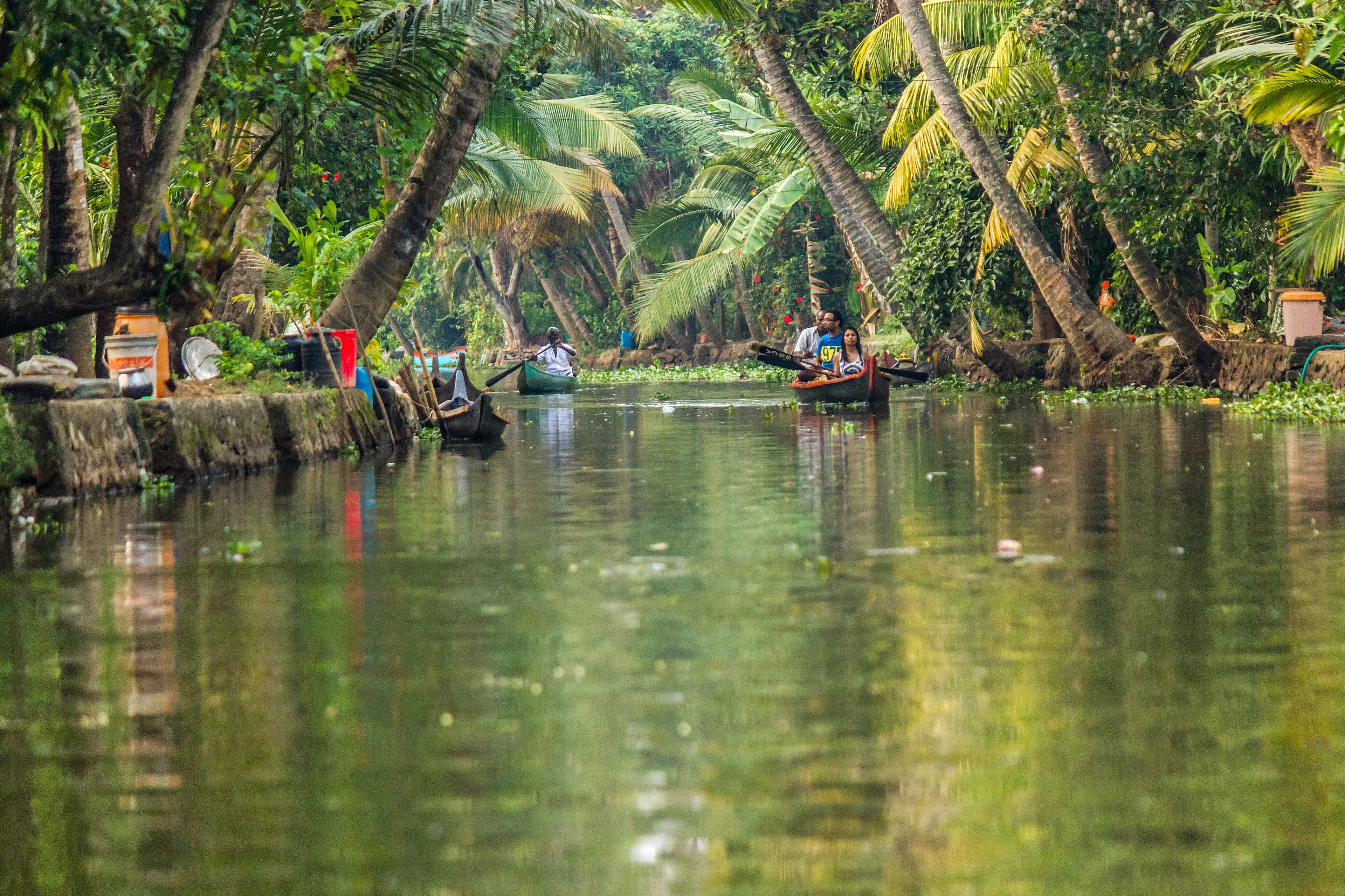 Narrow palm-lined canal in the Alleppey backwaters with a traditional shikara canoe
