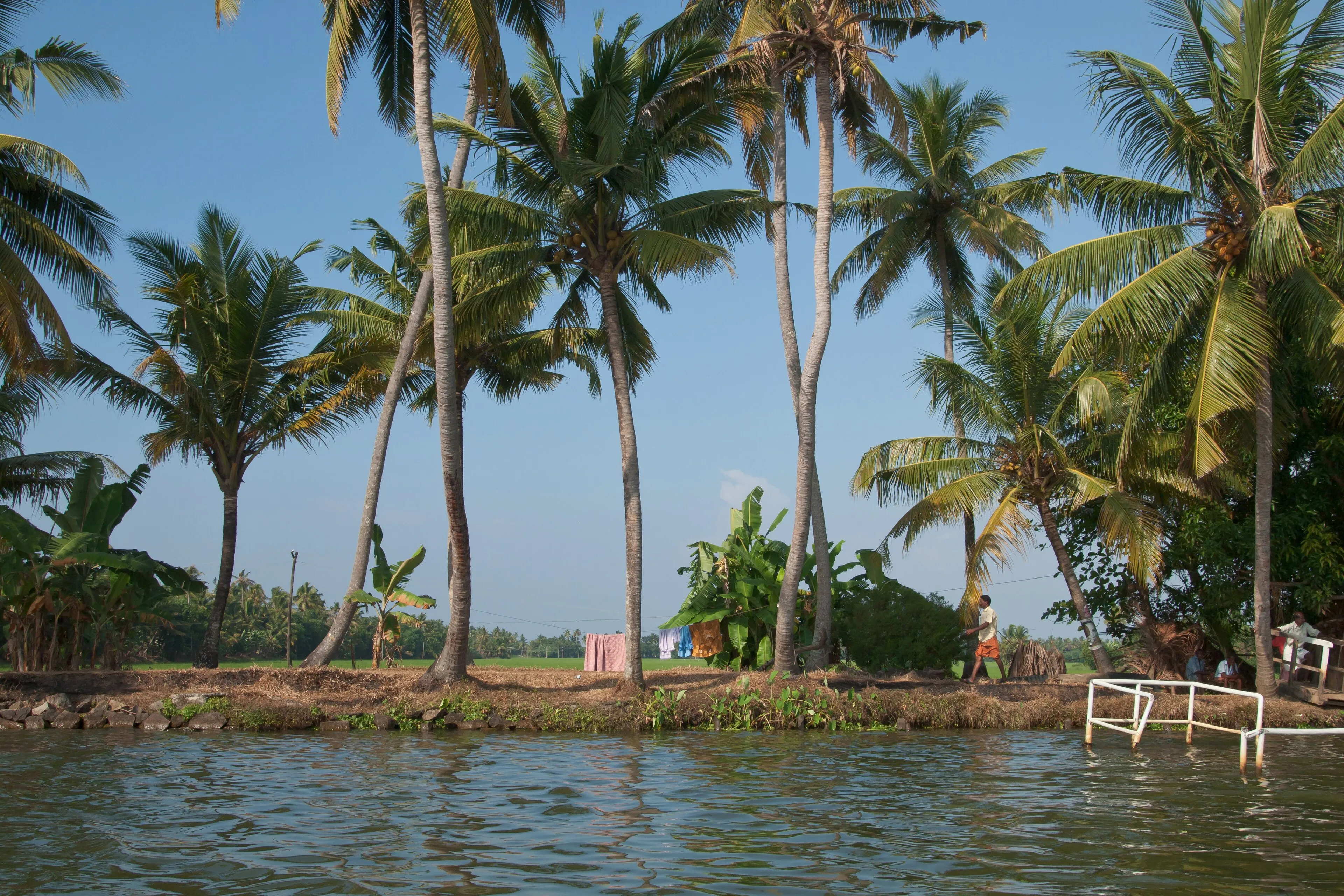 Kerala Nehru Trophy snake boat race with rows of paddlers on Punnamada Lake, Alappuzha