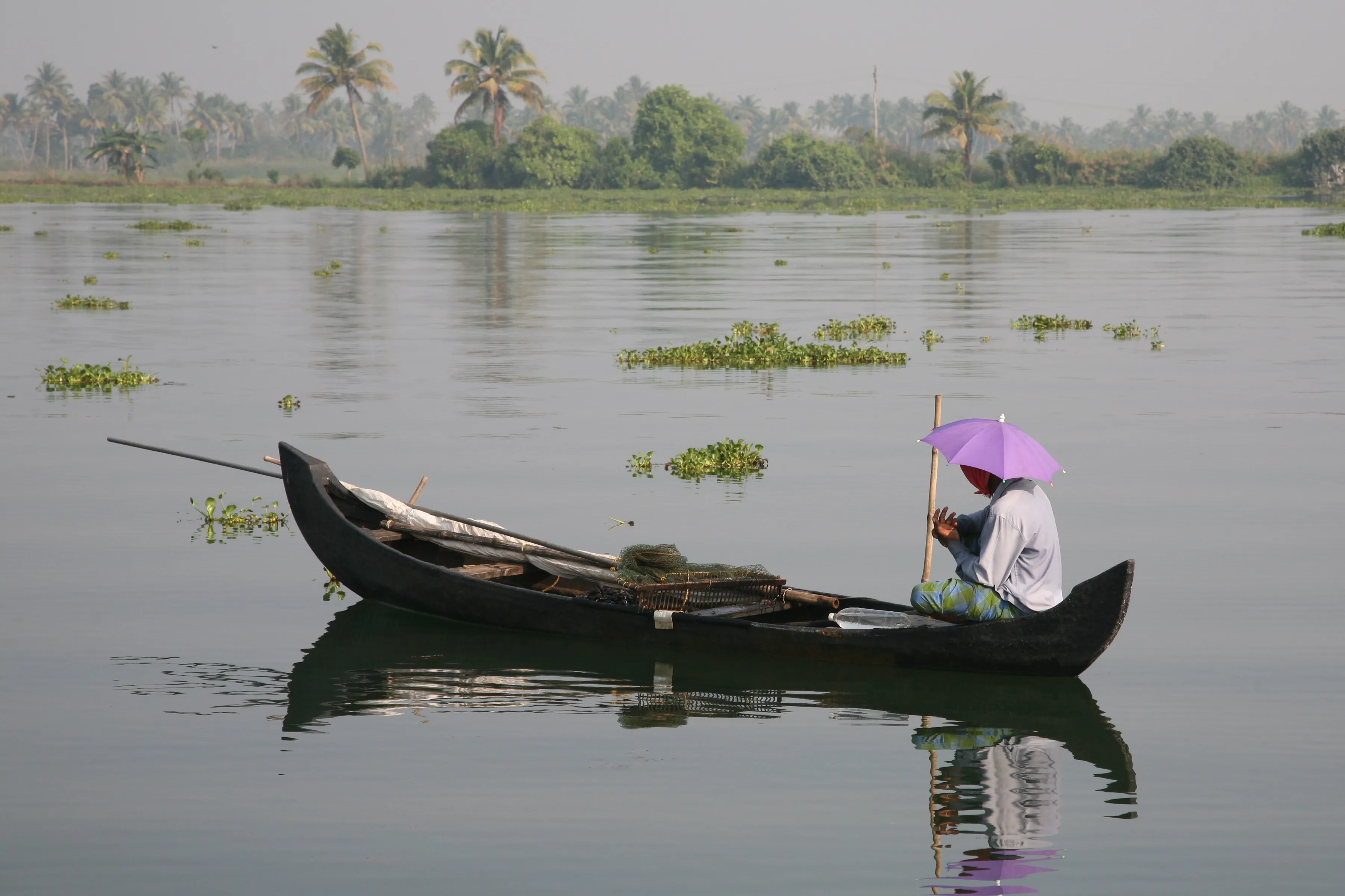 Fleet of premium Kerala houseboats moored on the Alleppey backwaters at dawn