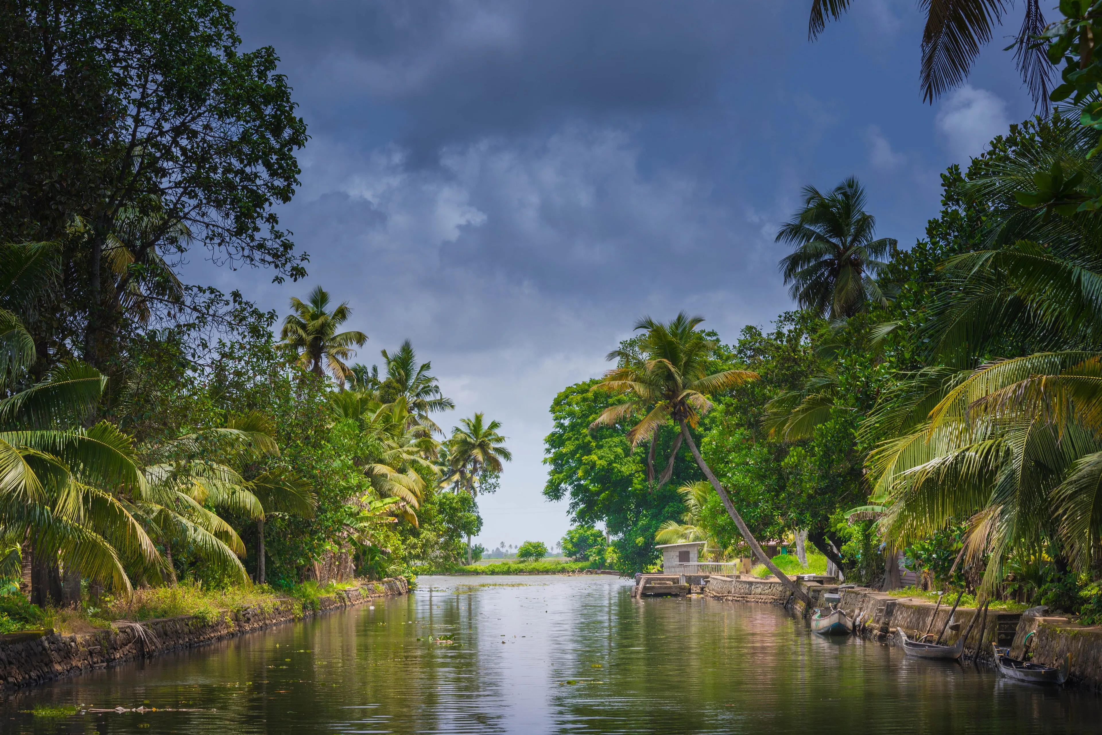 Serene Alleppey Kerala backwater with a luxury houseboat, coconut palms and calm water